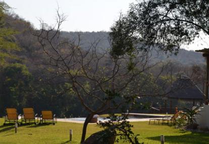 Safari en Afrique du Sud de Laurent