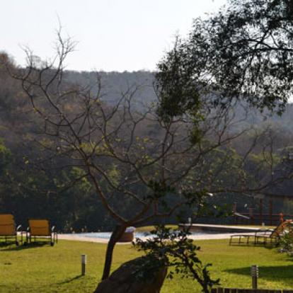 Safari en Afrique du Sud de Laurent