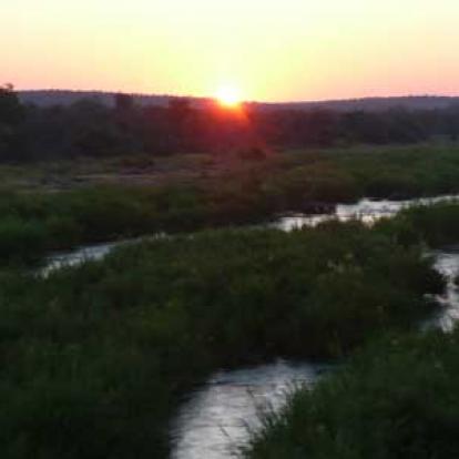 Safari en Afrique du Sud d'Edouard