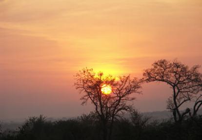 Safari en Afrique du Sud de Christine et Philippe C. 