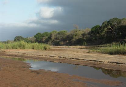 Safari en Afrique du Sud de Christine et Philippe C.