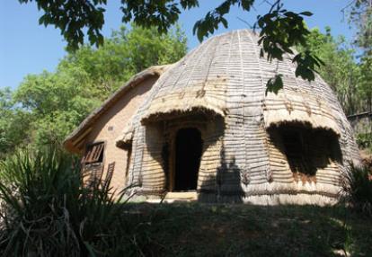 Safari en Afrique du Sud de Christine et Philippe C.
