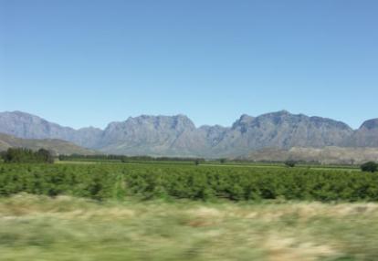 Safari en Afrique du Sud de Christine et Philippe C.