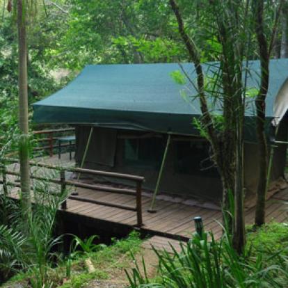 Safari en Afrique du Sud de Frederic-Andre J.