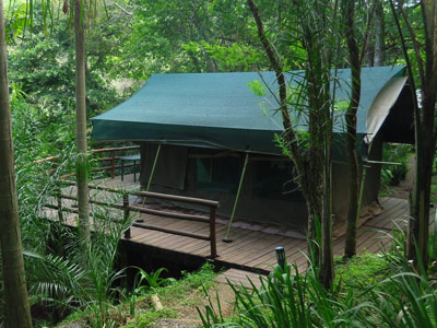 Safari en Afrique du Sud de Frederic-Andre J.