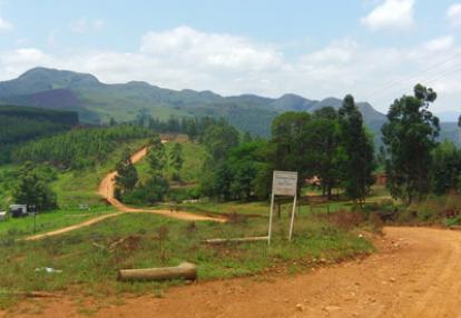 Safari en Afrique du Sud de Frederic-Andre J.
