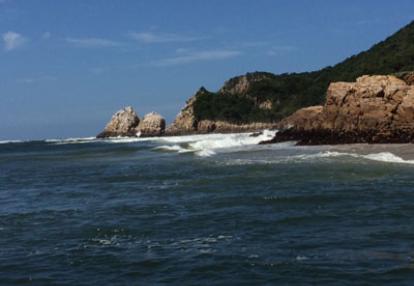 Voyage en Afrique du Sud de Partricia L.