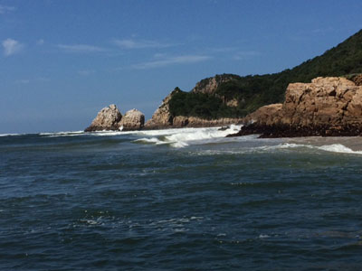 Voyage en Afrique du Sud de Partricia L.