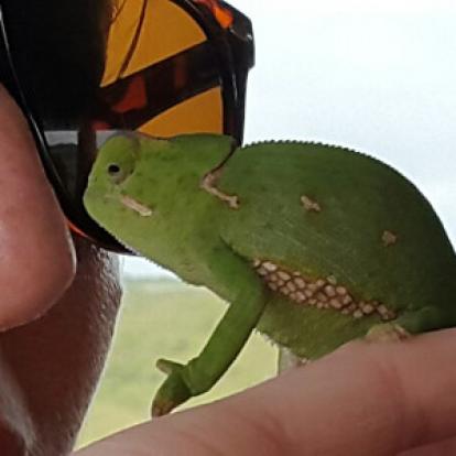 Voyage en Afrique du Sud de la famille de Christine