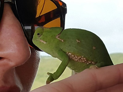 Voyage en Afrique du Sud de la famille de Christine