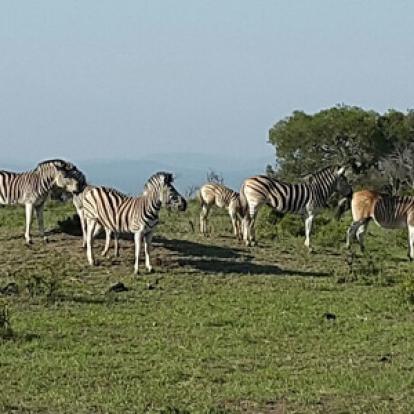 Voyage en Afrique du Sud de la famille de Christine