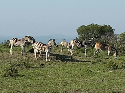 Voyage en Afrique du Sud de la famille de Christine
