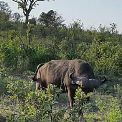 Voyage en Afrique du Sud de la famille de Christine
