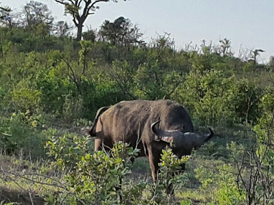 Voyage en Afrique du Sud de la famille de Christine