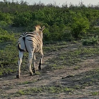 Voyage en Afrique du Sud de la famille de Christine