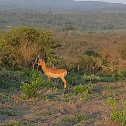 Voyage en Afrique du Sud de la famille de Christine