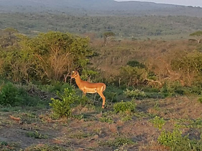 Voyage en Afrique du Sud de la famille de Christine