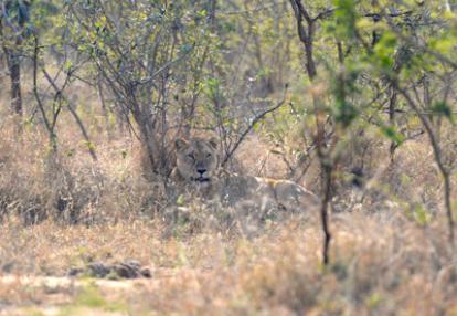 Voyage en Afrique du Sud de la famille d'Hugues, Françoise et Julie