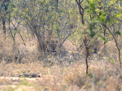 Voyage en Afrique du Sud de la famille d'Hugues, Françoise et Julie