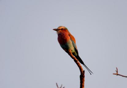 Voyage en Afrique du Sud de la famille d'Hugues, Françoise et Julie