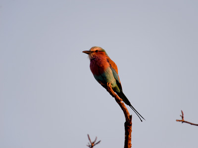 Voyage en Afrique du Sud de la famille d'Hugues, Françoise et Julie