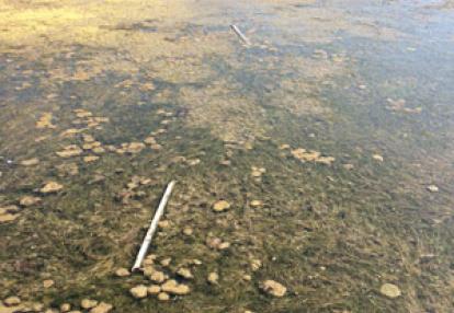 Voyage en Albanie d'Hélène