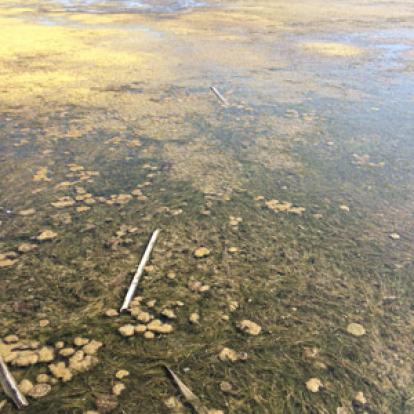 Voyage en Albanie d'Hélène