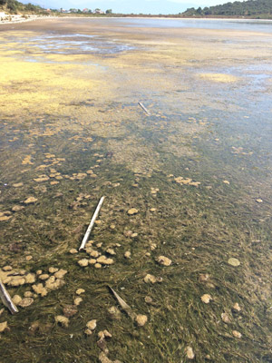 Voyage en Albanie d'Hélène