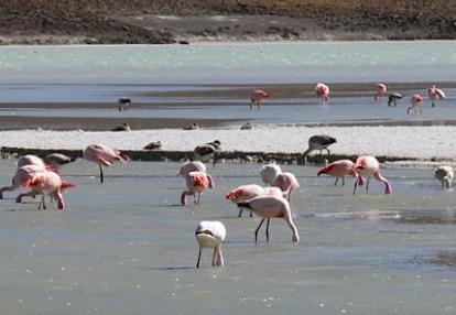 Voyage en Argentine de Patricia et Daniel