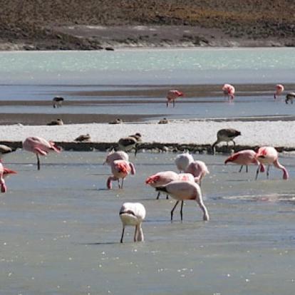 Voyage en Argentine de Patricia et Daniel
