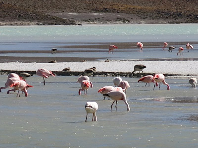 Voyage en Argentine de Patricia et Daniel
