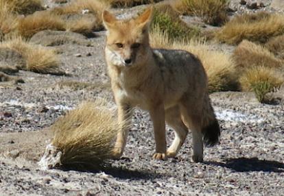 Voyage en Argentine de Patricia et Daniel