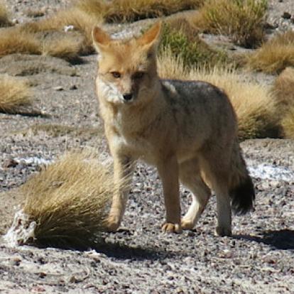 Voyage en Argentine de Patricia et Daniel