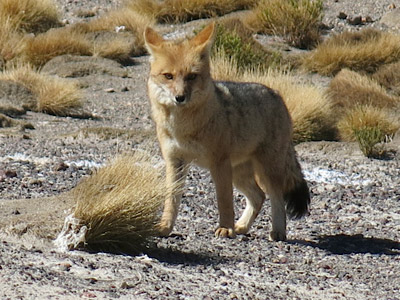 Voyage en Argentine de Patricia et Daniel