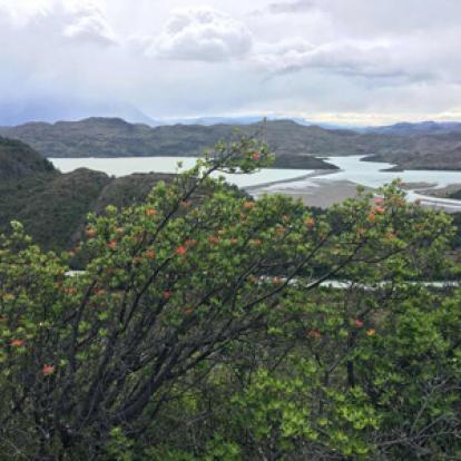 Voyage en Argentine de Catherine