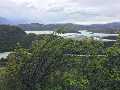 Voyage en Argentine de Catherine