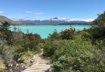 Voyage en Argentine du Groupe d'amis de Dominique