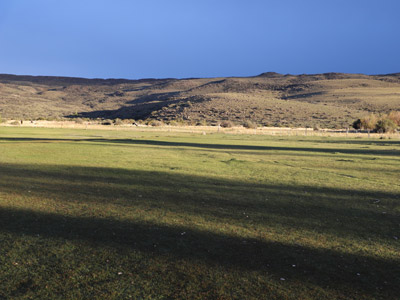 ©Dominique L. - Tous Droits réservés Voyage en Argentine de Dominique et Patrick