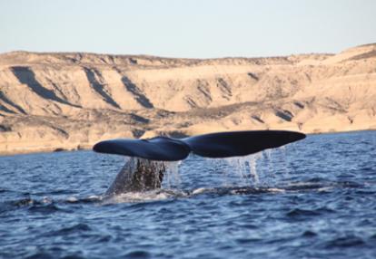 Voyage en Argentine de Christian