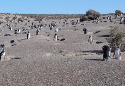 Voyage en Argentine de Jacques et Lory L.