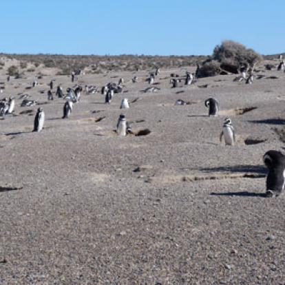 ©Jacques Et Lory L. - Tous Droits Réservés Voyage en Argentine de Jacques et Lory L.