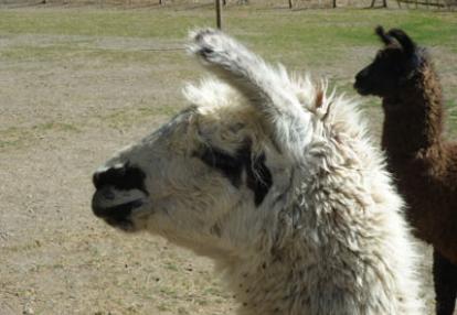 Voyage en Argentine de Sophie