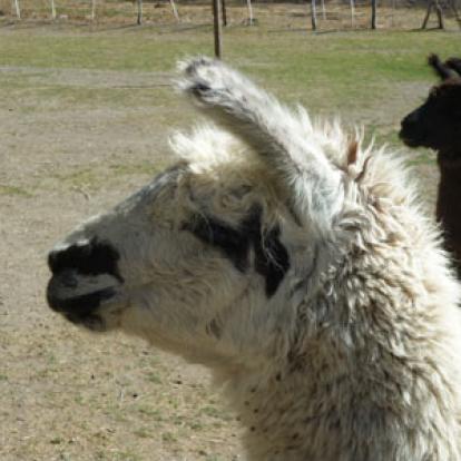 Voyage en Argentine de Sophie