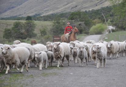 Voyage en Argentine de la Famille de Sylvie
