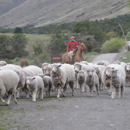 ©Sylvie C. - Tous Droits Réservés Voyage en Argentine de la Famille de Sylvie