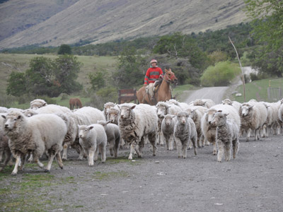 ©Sylvie C. - Tous Droits réservés Voyage en Argentine de la Famille de Sylvie