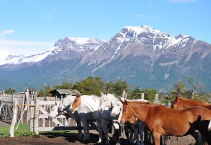 Voyage en Argentine de la Famille de Sylvie