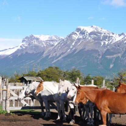©Sylvie C. - Tous Droits Réservés Voyage en Argentine de la Famille de Sylvie