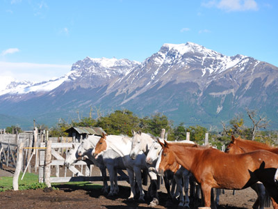 ©Sylvie C. - Tous Droits réservés Voyage en Argentine de la Famille de Sylvie