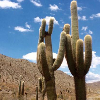 ©Hélène V. - Tous Droits Réservés Voyage en Argentine d'Hélène
